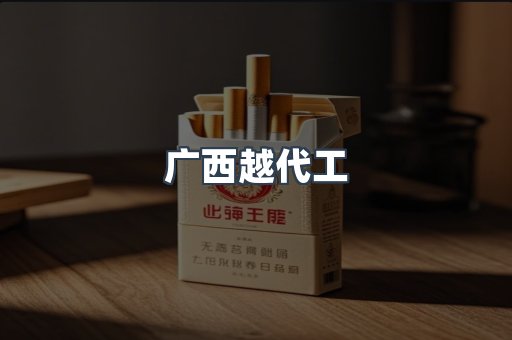 广西越代工